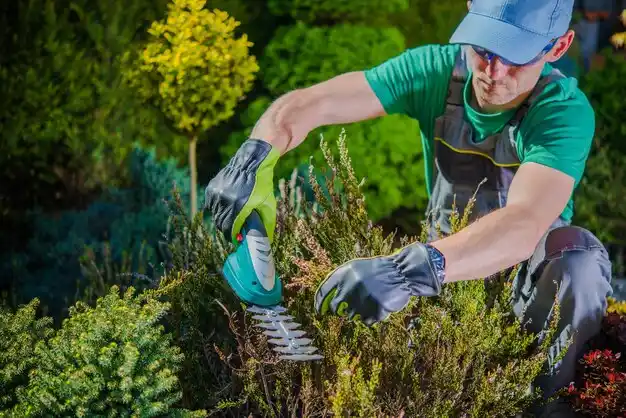 landscaping services Minden